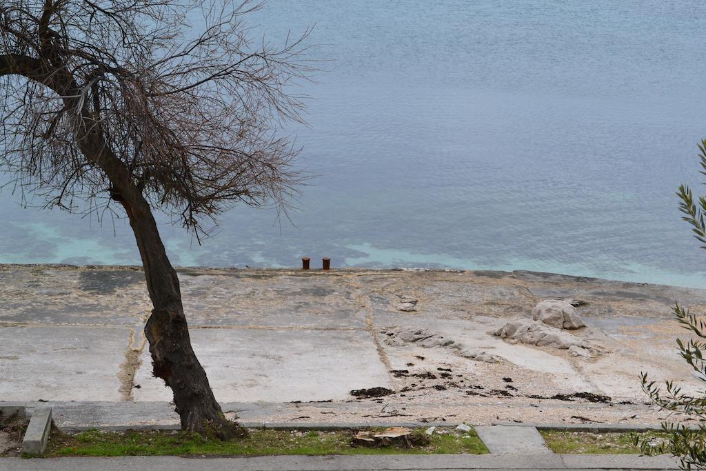 Apartment Diklo Zadar